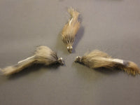 Taneycomo Sculpin grouped