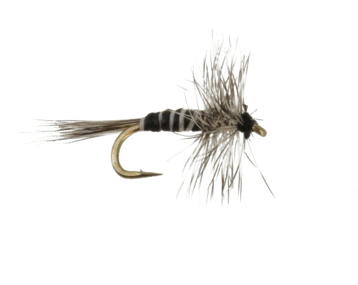 Midge, Grizzly