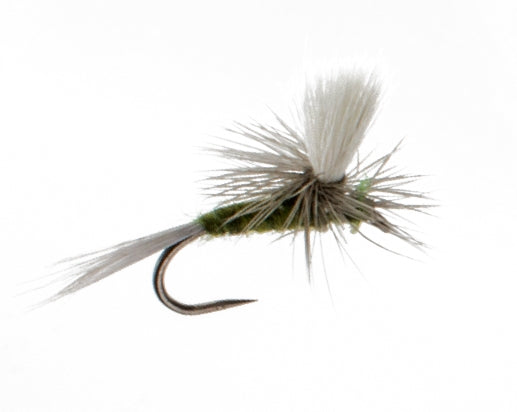 Blue WIng Olive, Parachute (Barbless)