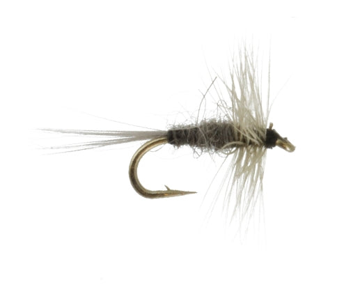 Midge, Blue Dun