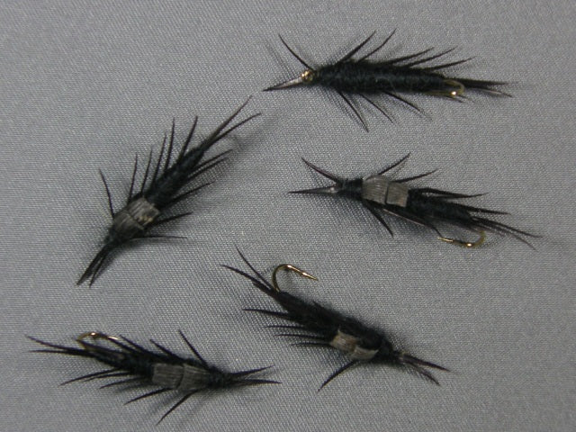Hellgrammite, Black Carp grouped