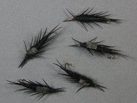 Hellgrammite, Black Carp grouped