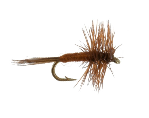 Midge, Brown
