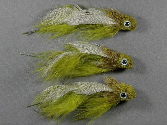 Eyed Fathead, Olive Tandem grouped