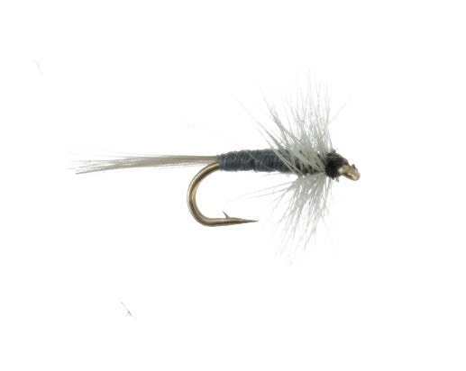 Midge, Gray