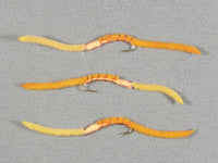 2 Tone San Juan, Amber and Orange grouped