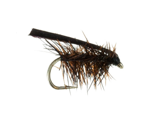 Early Black Stonefly