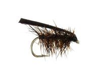 Early Black Stonefly