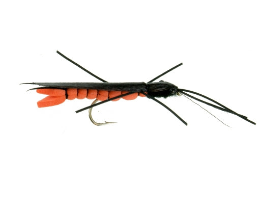 Giant Salmonfly, Foam