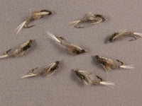 Callibaetis Nymph