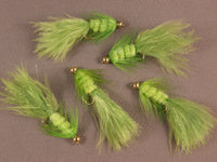 Beadhead Woolly Bugger, Chartreuse grouped