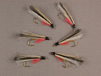 Flathead Minnow, grouped