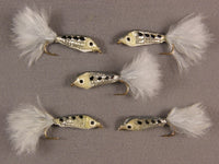 Janssen's Threadfin Shad, grouped