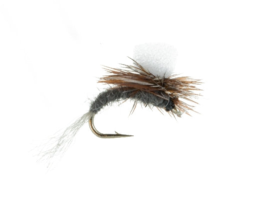 Foam Emerger, Adams