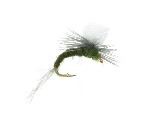 Foam Emerger, Blue Wing Olive