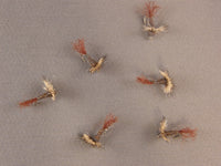 Sparkle Dun, Callibaetis, Brown Shuck
