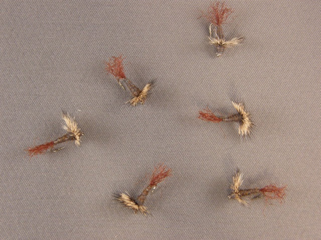 Sparkle Dun, Callibaetis, Brown Shuck