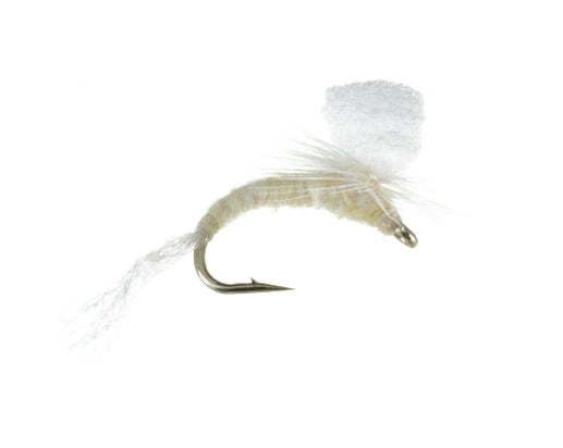 Foam Emerger, Light Cahill