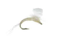 Foam Emerger, Light Cahill