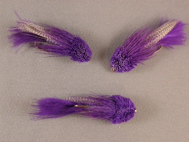 Zoo Cougar, Purple grouped