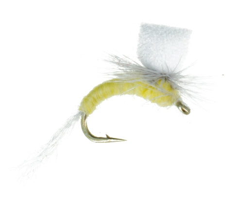 Foam Emerger, Pale Morning Dun PMD