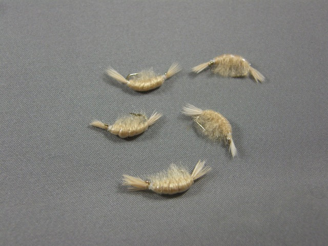 Scud, Tan, Curved grouped