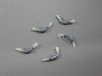 Scud, Gray, Curved grouped