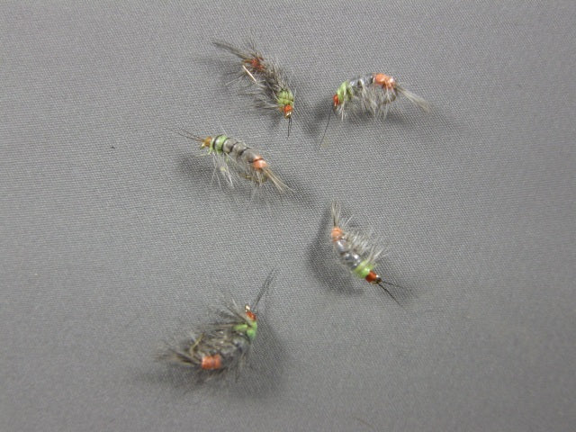 Shrimp #1 grouped