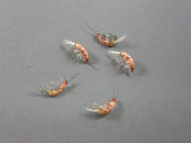 Shrimp #2 grouped