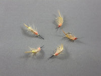 Shrimp #3 grouped