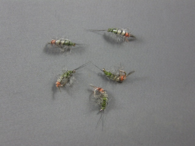 Shrimp #4 grouped