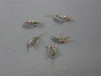 Shrimp #4 grouped