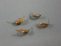 Shrimp #6 grouped