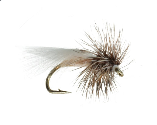 Delta Caddis