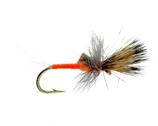 Fluttering Cripple, Orange