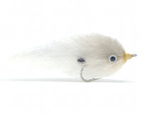 Dustin's Destroyer, Shad