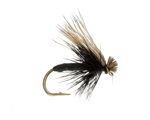 Foam Caddis, Black