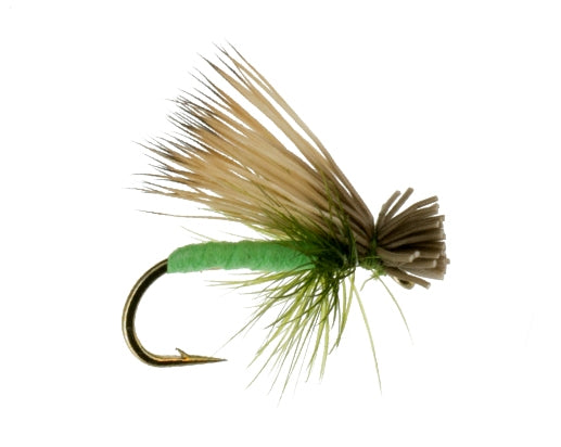 Foam Caddis, Bright Green