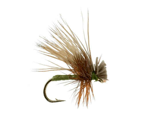 Foam Caddis, Olive