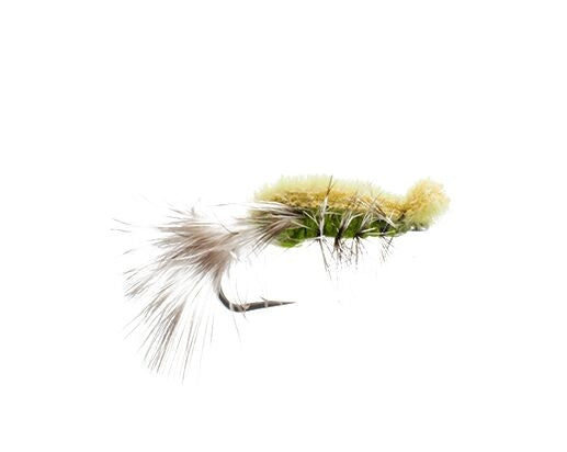Foam Crayfish, Olive