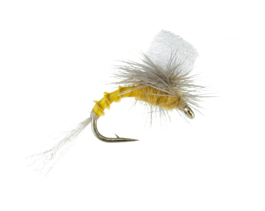 Foam Emerger, Golden