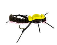Foam Terrestrial, Pink
