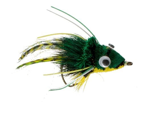 Frog, Swimming, Bright Green