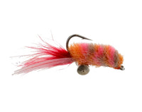 Ghostly Shrimp, Orange