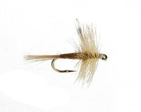 Ginger Mayfly
