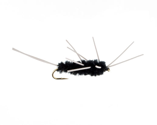 Girdle Bug