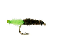 Grannom Larva