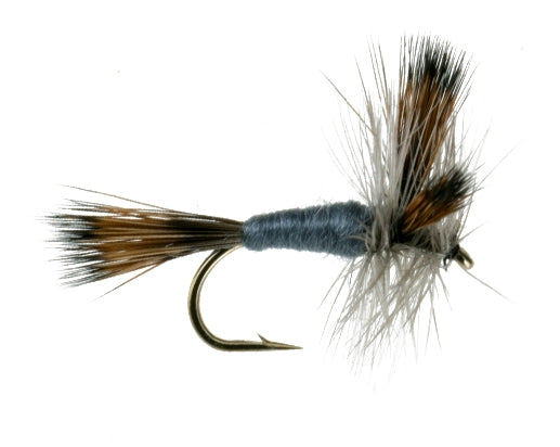 Gray Wulff fly fishing fly