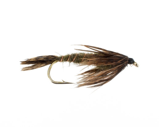 Green Drake Nymph, Western