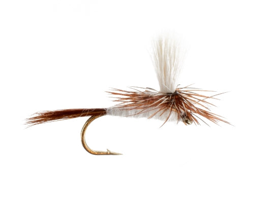 Grey Fox, Parachute